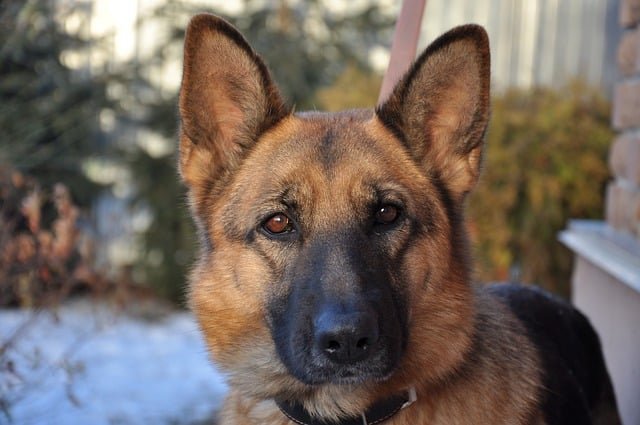 Be Safer With These Awesome Home Security Tips 1 be safer with these awesome home security tips