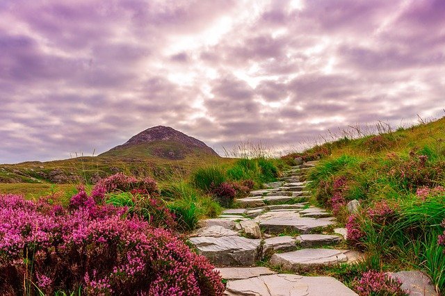 Find The Best And Most Creative Landscaping Ideas Here 1 find the best and most creative landscaping ideas here