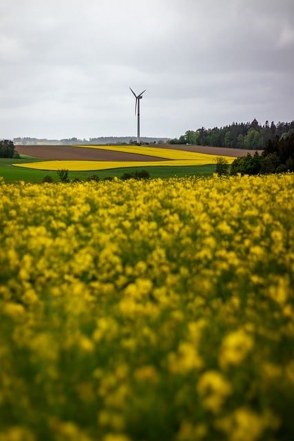 Green Energy Advice That Can Really Help You 1 green energy advice that can really help you
