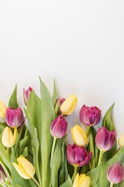 read this article for quick easy horticulture tips