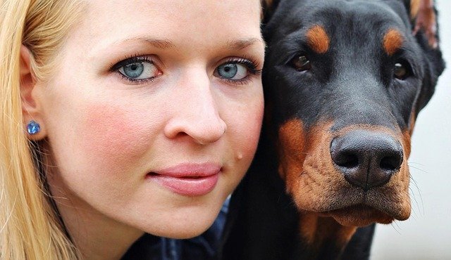 Seeking Knowledge About Dogs? You Need To Read This Article! 1 seeking knowledge about dogs you need to read this article