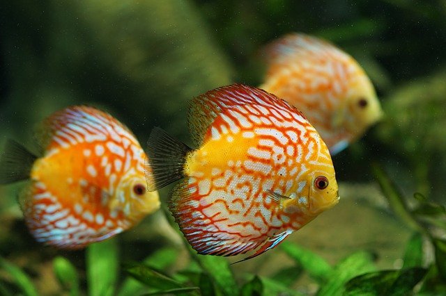 The Article For You If You Love To Fish 1 the article for you if you love to fish