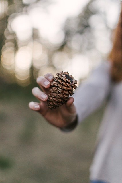 tips on how you can have fun while camping