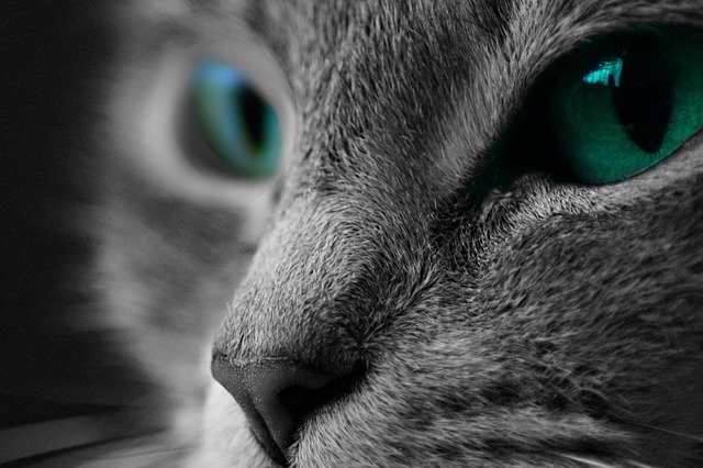 transform yourself into a photography guru starting now