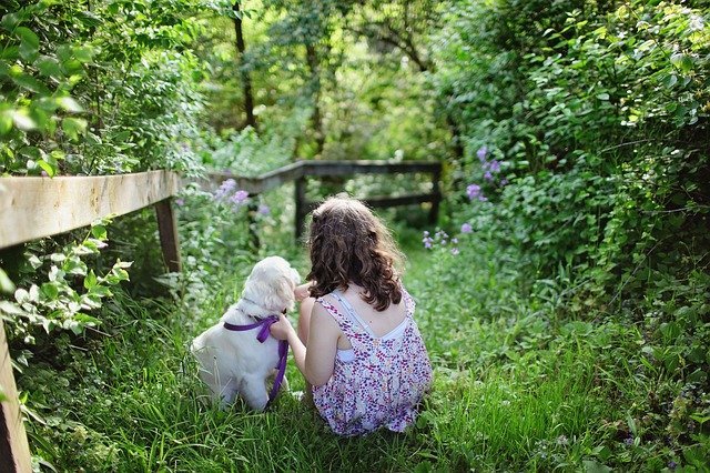 handy tips for learning to garden organically