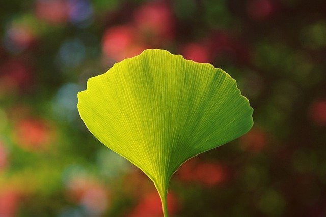 hard time understanding green energy technology try these ideas