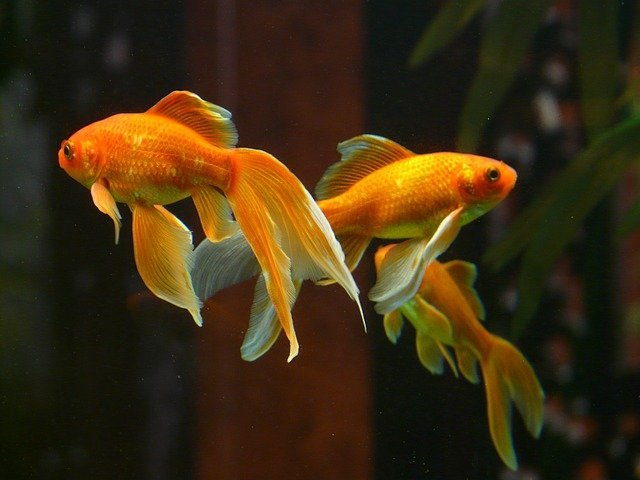 Learn How To Be A Better Fisherman By Applying These Tips! 1 learn how to be a better fisherman by applying these tips