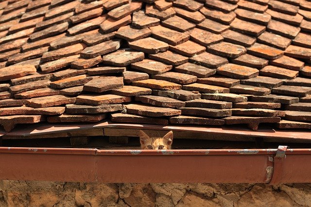 Take A Look At This Great Roofing Advice 1 take a look at this great roofing advice