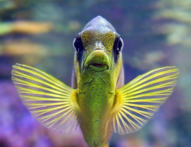 the importnace of following fishing regualtions in your state