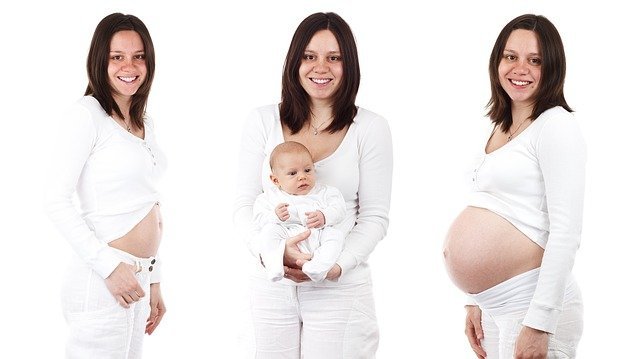 learning the ins and outs of pregnancy