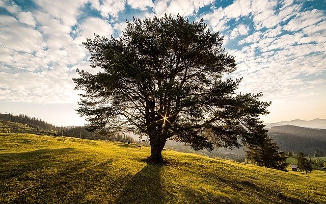make over your lawn with these landscaping tips