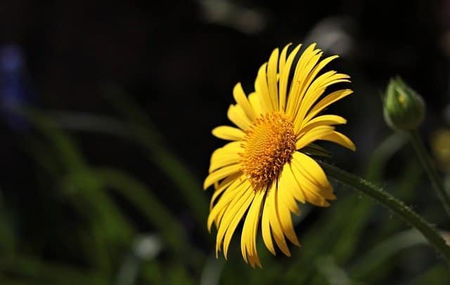 Seeking Advice About Gardening? Look At This Piece 1 seeking advice about gardening look at this piece