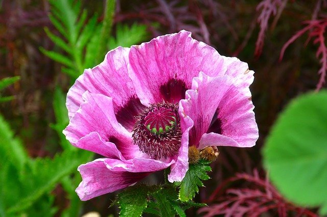 tips to make you a better gardener