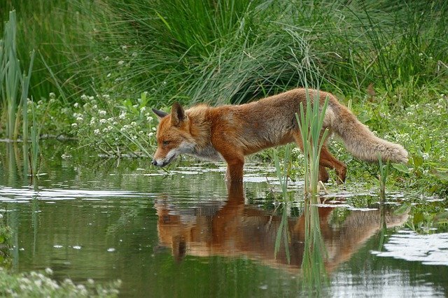 tricks on how to get great looking photos