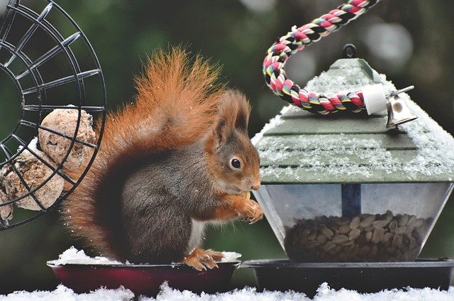 what you ought to know about photography