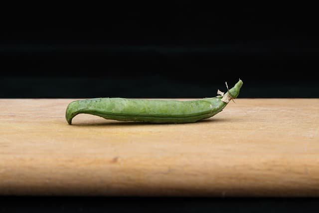 you can be successful at organic gardening