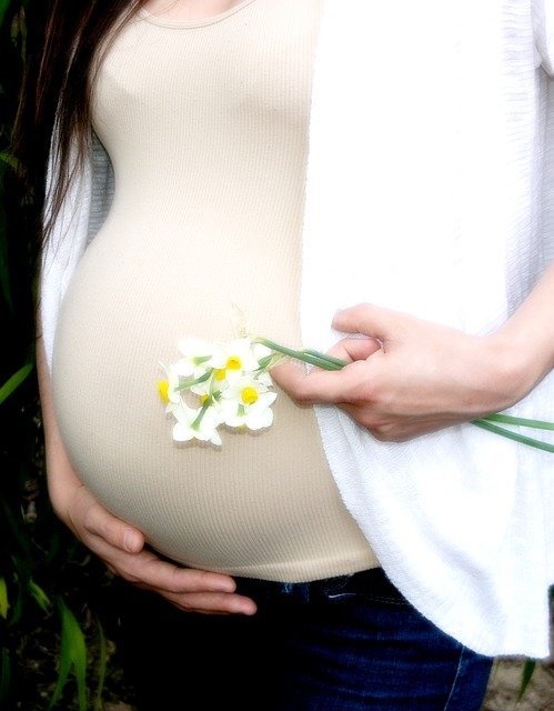 your all in one guide to pregancy