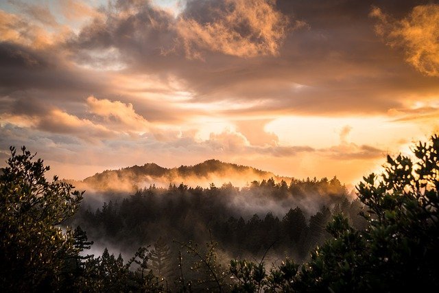 advice for capturing memorable moments with photography