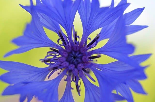 Easy To Follow Advice For A Better Garden 1 easy to follow advice for a better garden