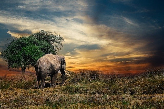Get The Most From Your Photography With These Helpful Tips 1 get the most from your photography with these helpful tips