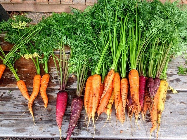 Ideas To Try In Your Organic Garden 1 ideas to try in your organic garden