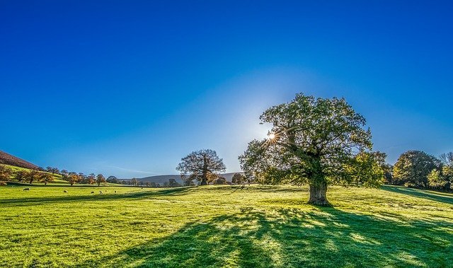 landscaping advice you can try out today