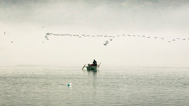 make your fishing trip more successful with these tips