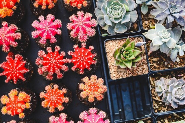 working your soil so you can grow healthy plants