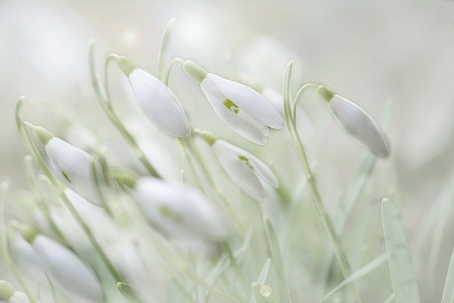 gardening tips you should make note of