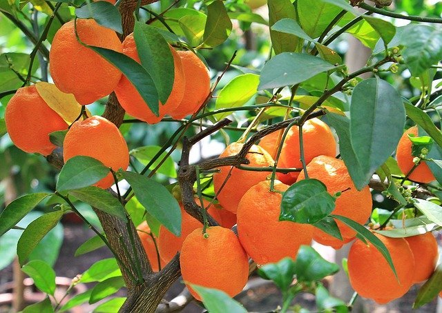 What You Must Know About Vitamins And Minerals 1 what you must know about vitamins and minerals