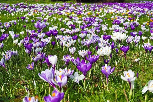 Apply These Beneficial Tips To Your Garden 1 apply these beneficial tips to your garden