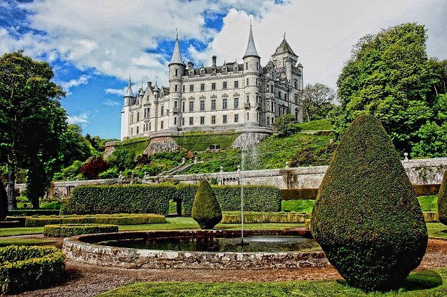 bring your garden to life with these top tips