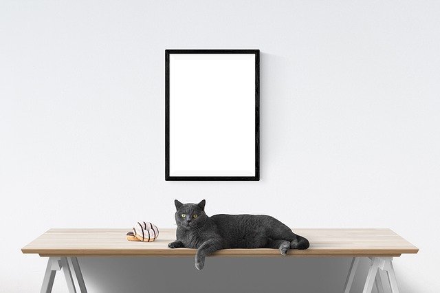 making furniture purchasing simple with reliable advice