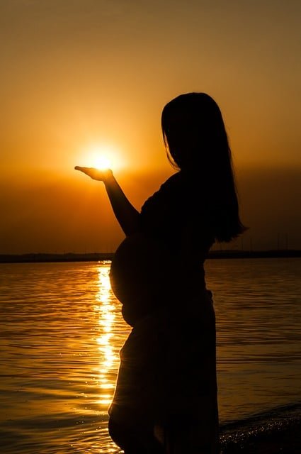 Pregnancy: The Things You Want And Need To Know 1 pregnancy the things you want and need to know