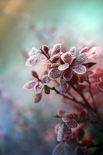 Advice For Keeping Your Garden Looking Great 1 advice for keeping your garden looking great