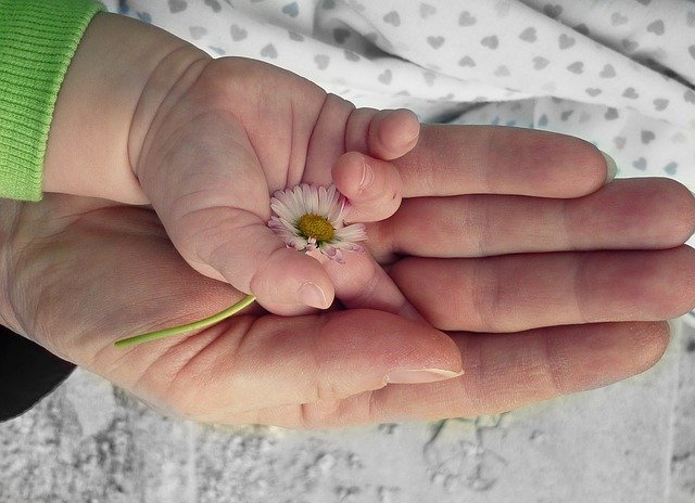 Child-rearing Advice That All Parents Should Read 1 childrearing advice that all parents should read