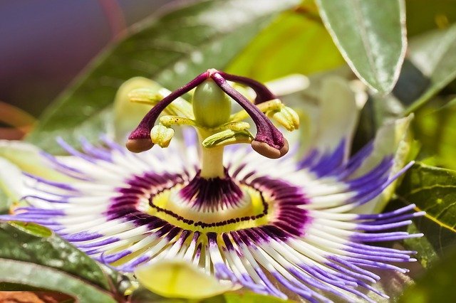 Gardening Tips For The Most Bountiful Harvest 1 gardening tips for the most bountiful harvest