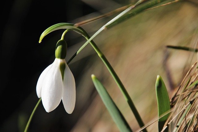 Perk Up Your Garden With These Handy Tips. 1 perk up your garden with these handy tips