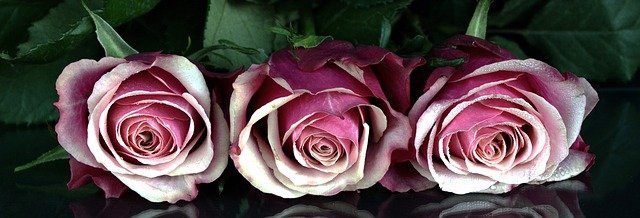 Useful Information For Putting Together The Ideal Wedding 1 useful information for putting together the ideal wedding