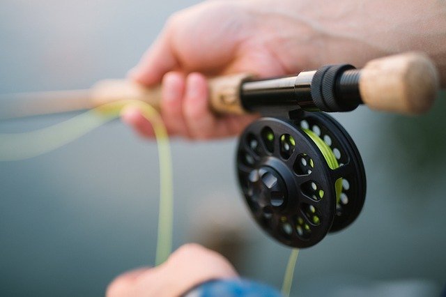 Want To Learn To Fish? Try These Tips! 1 want to learn to fish try these tips