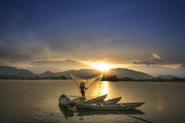 learning fish habits in different seasons