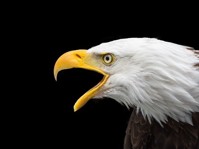 Look At This Piece To Become Knowledgable About Photography 1 look at this piece to become knowledgable about photography