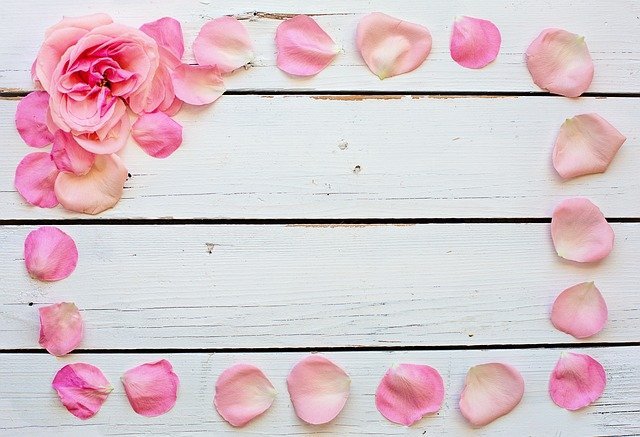 Use These Tips When Planning Your Wedding 1 use these tips when planning your wedding
