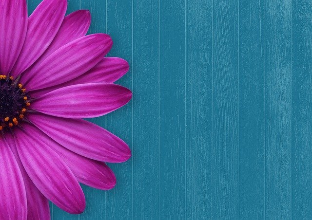 create an impact online how to succeed at blog posting