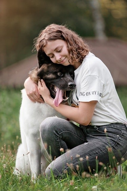 Excellent Tips About Dogs That Are Easy To Follow 1