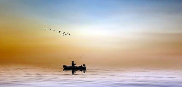 fishing is not that hard when you follow these tips