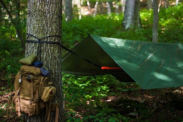 planning a camping trip this article can help