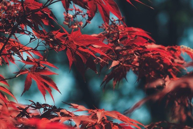 make your garden even greener with these tips