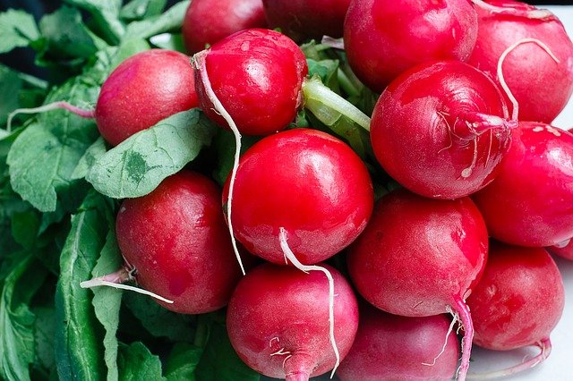 tips on using your green thumb in organic gardening